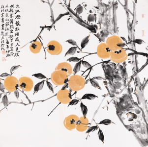 火红灯笼枝头藏