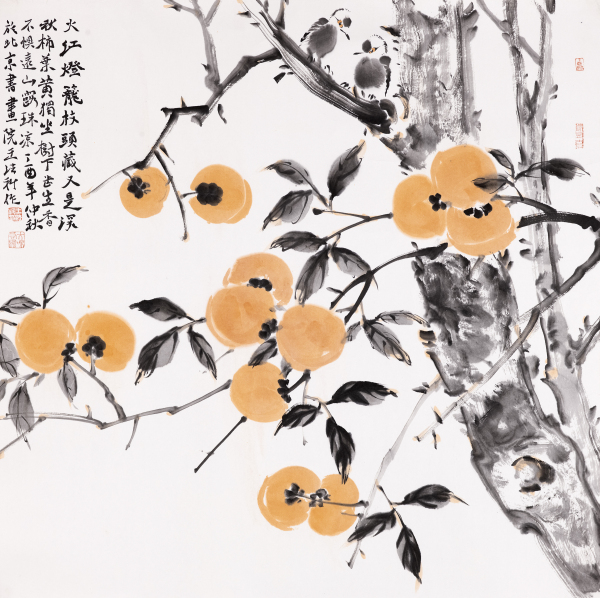 火红灯笼枝头藏
