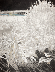 自然一和谐家园