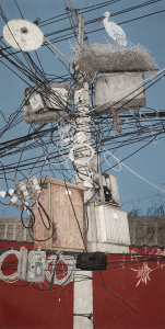 线系万家传真情