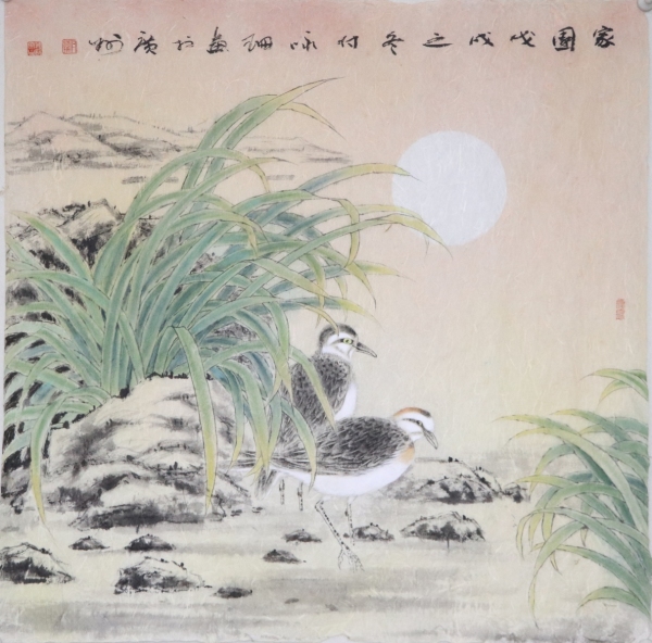 家园