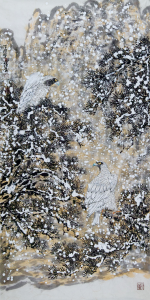 雪松鹰