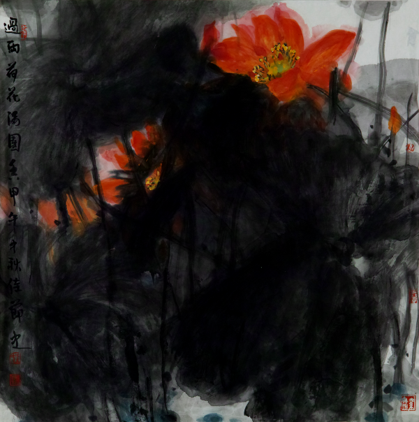 过雨荷花满园香3